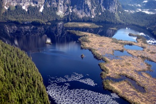 Misty Fjords 